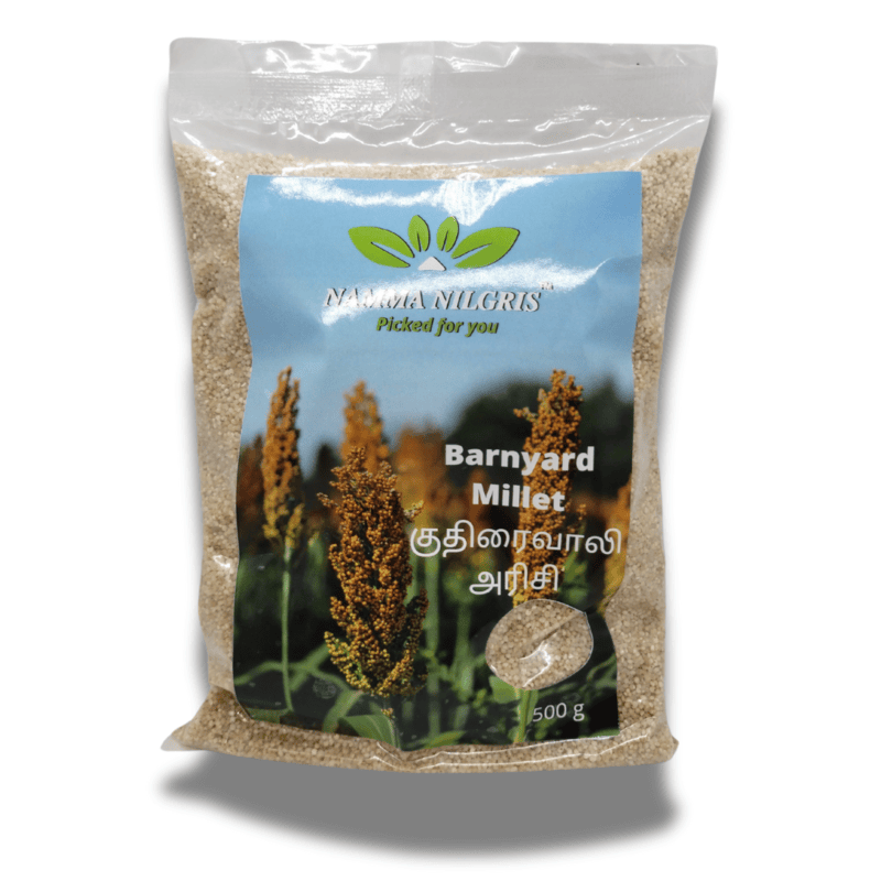 Banyard Millet