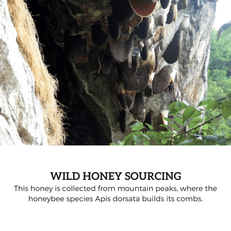Wild Sweet Honey Wild Sweet Honey