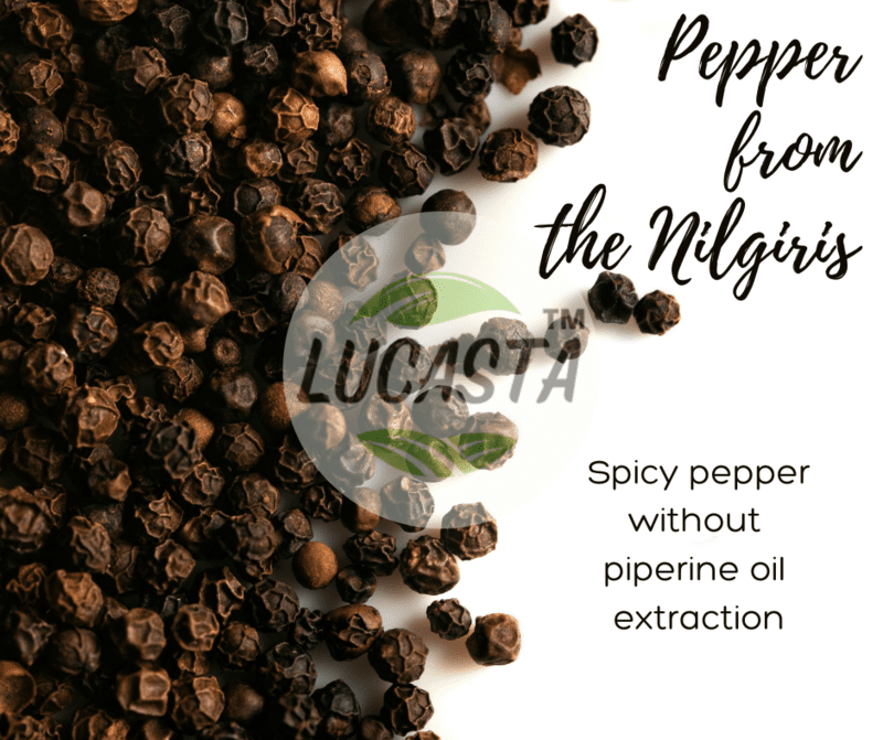 Black pepper Black pepper