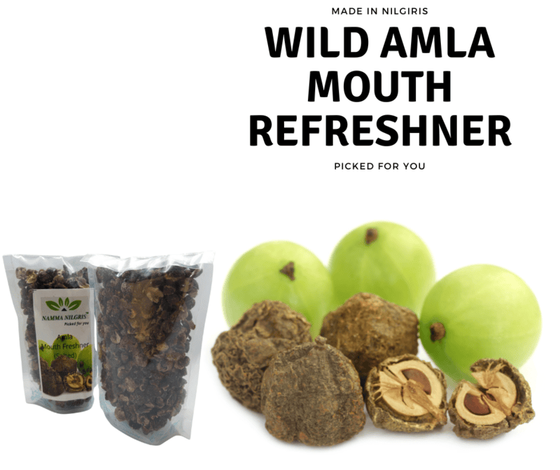 Amla Mouth Refreshner - 100G Amla Mouth Refreshner - 100G