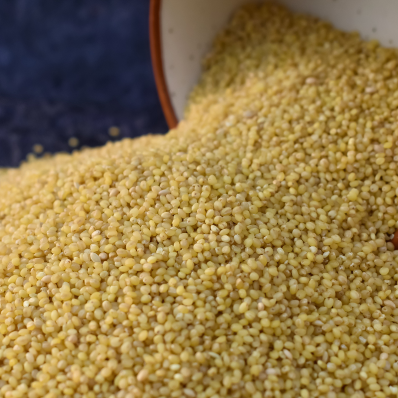 Foxtail Millet